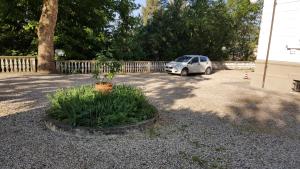 Zahrada ubytování B&B Villa Gavina