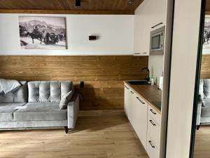 Kuchyňa alebo kuchynka v ubytovaní Apartamenty Krupówki 20