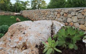 a stone wall with a plant next to a rock at Beautiful Home In Sveti Anton With Wifi in Sveti Anton +12 photos