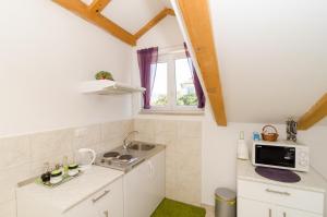 Kuchyňa alebo kuchynka v ubytovaní Apartments Pavle