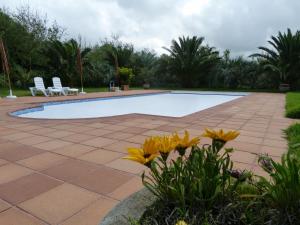 a swimming pool with two white chairs and flowers at Atlantico Apartments in Ribeira Grande