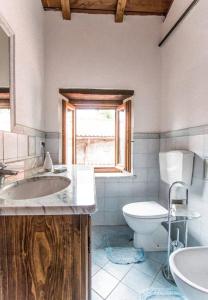 a bathroom with a sink and a toilet and a window at Agriturismo La Calamaia in Gorfigliano