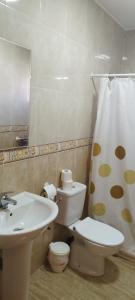 a bathroom with a toilet and a sink and a shower curtain at Apartamentos Turísticos Edificio del Pino in Sorbas +36 photos