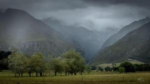 a group of trees in a field in front of mountains at Arumvale Country Retreat in Swellendam