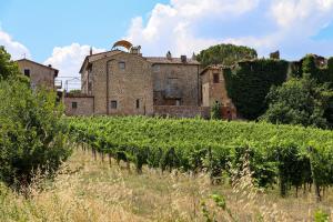 un antiguo castillo en un campo de viñas en Appartamenti Pietrachiara, en Perugia