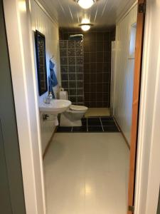 un baño con inodoro y lavabo en Torvløbakkan Gard, en Kvinesdal