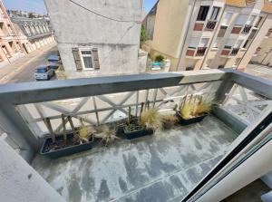 een groep potplanten op een balkon bij Grand Studio JAUNE pour 4 pers à deux pas de la plage de Berck in Berck-sur-Mer