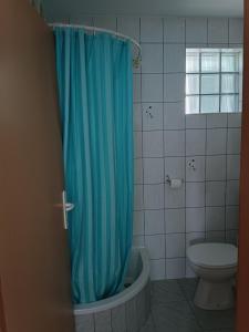 a bathroom with a blue shower curtain and a toilet at Apartments Blue House in Korčula
