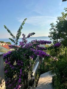 Imagen de la galería de Apartments Lorenco, en Brela