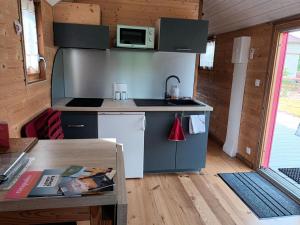 Castelnau-de-MontmiralにあるLa roulotte du tonnelierの小さな家の中のキッチン(シンク、電子レンジ付)