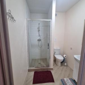 a glass shower in a bathroom with a toilet at Грибовка,Морской Аромат in Gribovka +68 photos