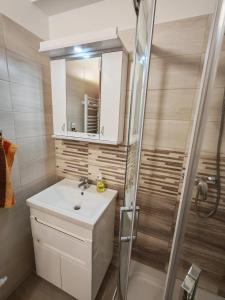 a bathroom with a sink and a shower at Sandline in Kecskemét +4 photos