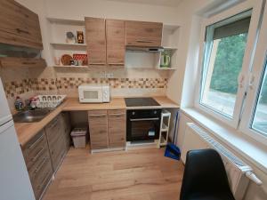 a small kitchen with wooden cabinets and a microwave at Sandline in Kecskemét