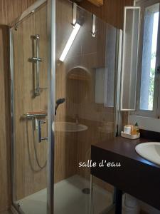 a shower with a glass door in a bathroom at Au Numéro 20 in Tournon-Saint-Pierre