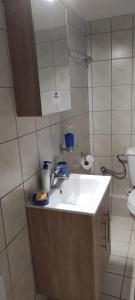 um banheiro com pia e vaso sanitário em Vania's apartment em Preveza mais 19 fotografias