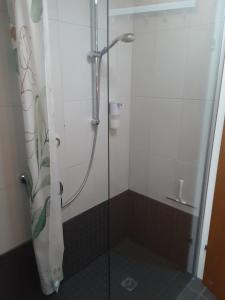 a shower with a glass door in a bathroom at FeWo Christine in Bad Buchau