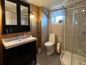 a bathroom with a toilet and a sink and a shower at Hytte i naturskjønne Javnlie in Skammestein