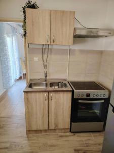 a kitchen with a sink and a stove at Prominska Bajka in Razvođe
