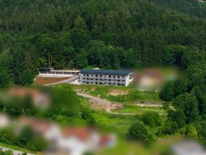 a building on a hill in the middle of a forest at Danner Appartements Wolfsegg am Hausruck- Ferienwohnung & Business-Appartements Ruhige Lage, moderne Ausstattung, faire Preise in Wolfsegg am Hausruck