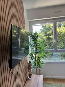 a plant sitting on a wooden table next to a window at Les Quais centre-ville in Rennes +1 photo