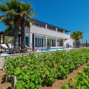 Zahrada ubytování Luxury Stone Villa Smokvica, Heated Pool, Sauna, Jacuzzi, Sea View + 42 fotografií