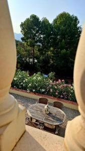 Vonkajšia záhrada v ubytovaní Guest House El Angelito de Olivas