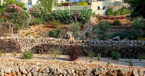 Vonkajšia záhrada v ubytovaní Guest House El Angelito de Olivas
