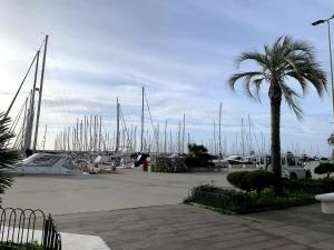 a marina with a lot ofocked boats and a palm tree at Notte in barca tra gioia e relax cullati dal mare in Civitavecchia