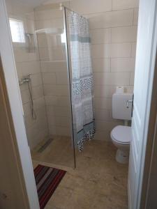 a bathroom with a shower and a toilet at Residence PERLA 05 in Poreč