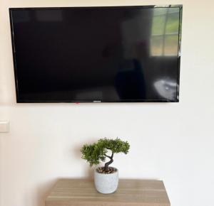 un piccolo albero appoggiato su un tavolo sotto un televisore di Studio Platanes 3 - Proche Disneyland - Parking gratuit - Meaux a Meaux