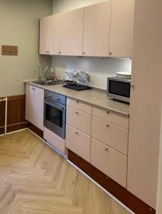 Η κουζίνα ή μικρή κουζίνα στο 7-bedroom apartment with 2x private parking