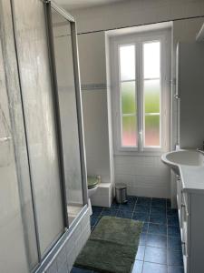 un bagno con doccia, WC e lavandino di Saint Pierre de Maillé 86260 Maison a Saint-Pierre-de-Maillé