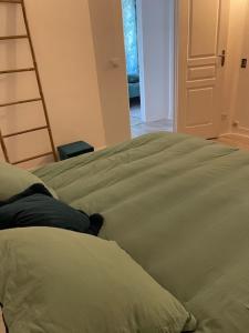 una persona sdraiata su un letto con una scala di Saint Pierre de Maillé 86260 Maison a Saint-Pierre-de-Maillé