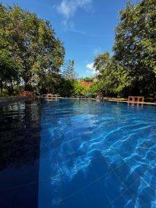 Bazén v ubytování Foresta Resort Sigiriya nebo v jeho okolí