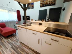 a kitchen with a counter with a sink and a tv at Stijlvolle Designstudio in Almere
