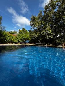 Bazén v ubytování Foresta Resort Sigiriya nebo v jeho okolí