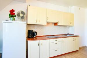 Kuchyňa alebo kuchynka v ubytovaní Rosa Weneda by Baltic Home