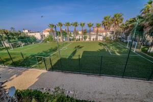 a soccer field with palm trees and a fence at Hotel Rais in Alger