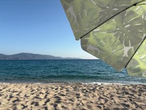 un ombrellone su una spiaggia sabbiosa con l'oceano di Appartement de charme entre mer et montagne a Sollacaro