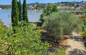 Φυσικό τοπίο κοντά σε αυτό το διαμέρισμα