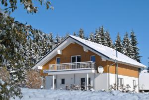 Galeriebild der Unterkunft Haus Ferientraum in Feldberg