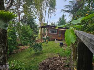 una cabaña de madera en el bosque con un patio en Bellingen - Hilltop Garden Studio, en Bellingen