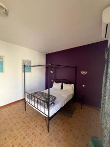 圣路易斯HÔTEL ETOILE DU SUD的一间卧室配有一张黑色床和紫色墙壁