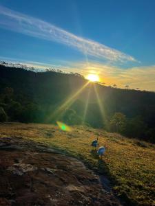 two birds standing in a field at sunset at Sítio das montanhas in Cunha
