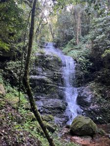 a waterfall in the middle of a forest at Sítio das montanhas in Cunha