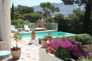a swimming pool with potted plants and flowers at Cassis Hostel in Cassis