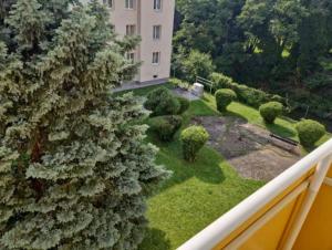 a view of a garden from the balcony of a building at Weilburg Apartments in Baden