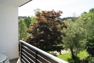Balkón nebo terasa v ubytování Hotel Braunlage