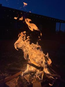 Fotografie z fotogalerie ubytování EverGreen Escape in Berat v destinaci Berat
