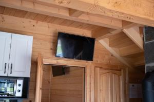 Televízia a/alebo spoločenská miestnosť v ubytovaní DOMEK POD LIMBAMI III